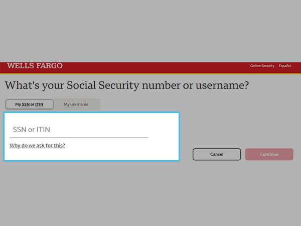 Enter your Social Security number or individual Taxpayer Identification number.