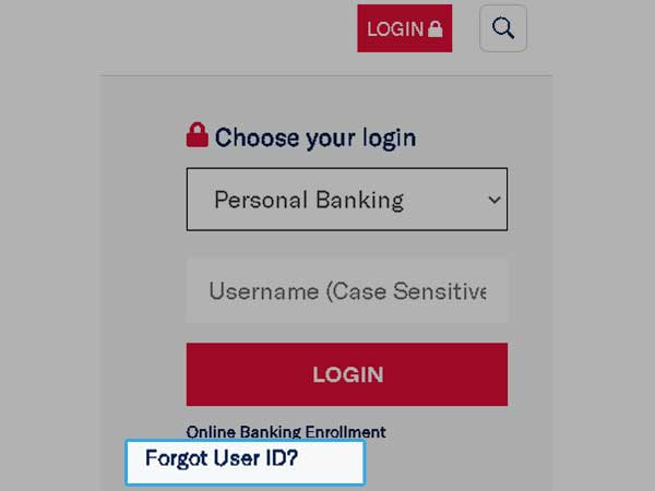 On the login screen of Ameris Online banking website click the Forgot User ID option.
