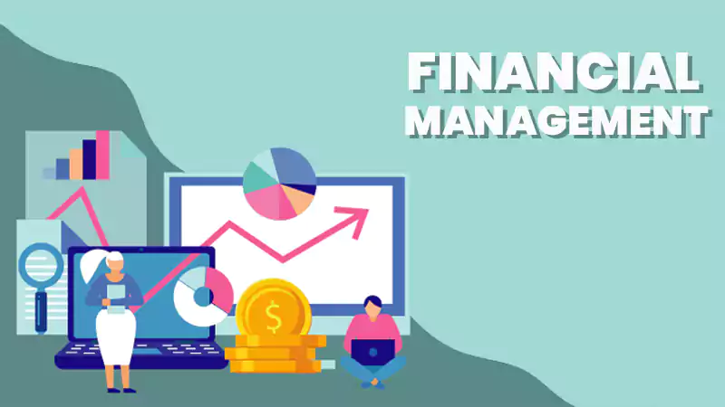 Effective Financial Management