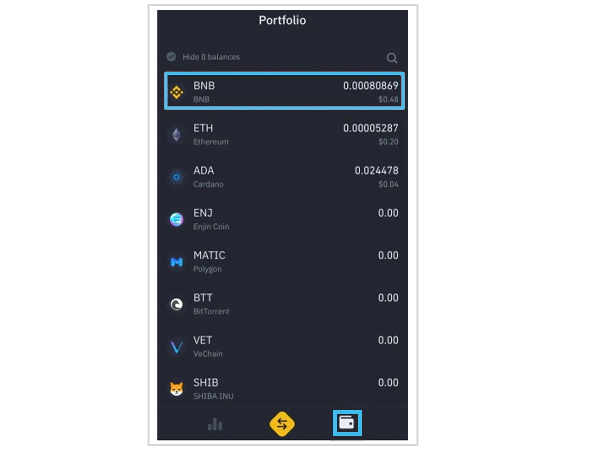 Binance Wallet page