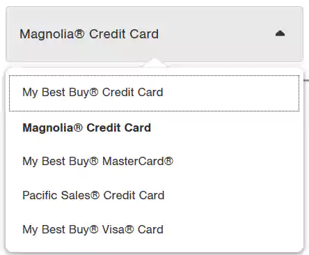 Types of Credit Cards List from Drop Down Button