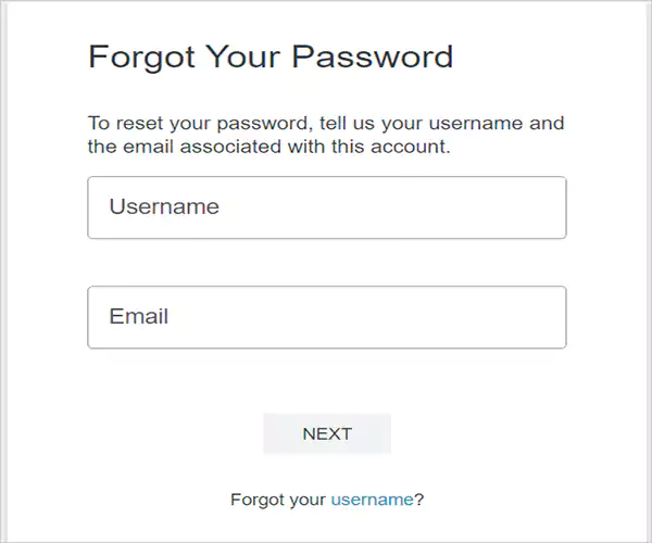 Netspend card login homepage