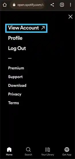 Select View Account