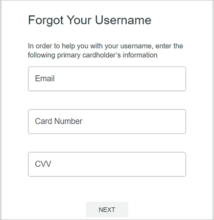 Netspend card login homeepage