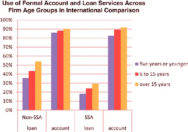 Loan services and age group detail