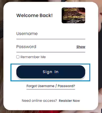 Cosmo Prof login portal