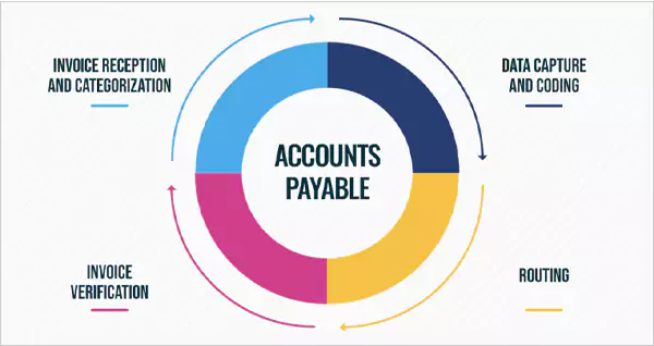 Accounts Payable Chart