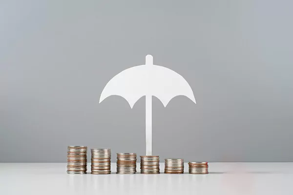 How Asset Protection Services Can Help Protect Your Wealth image 