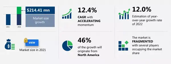 Online Car Buying Market Size and Growth Trends