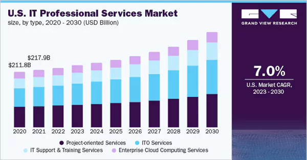 IT Professional Service market