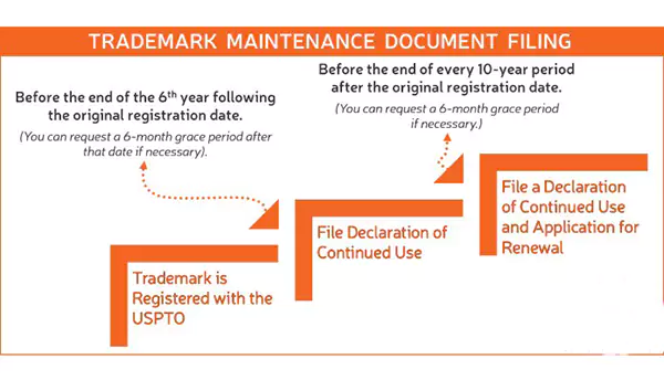 Basic Trademark Maintenance Document Filing Process