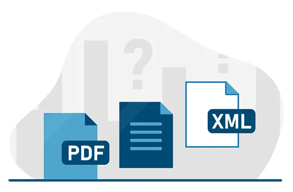 Invoice in XML Format