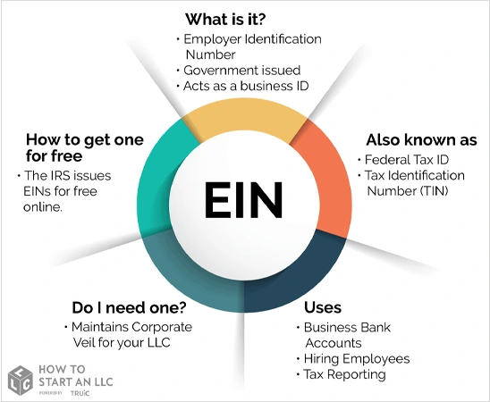What is an EIN