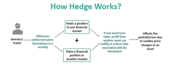 How Hedge Works