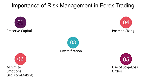 Importance of Risk Management in Forex Trading 